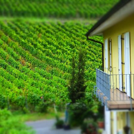 Weingut Und Hotel Haus Am Drachenloch 바트혼네프암라인 외부 사진