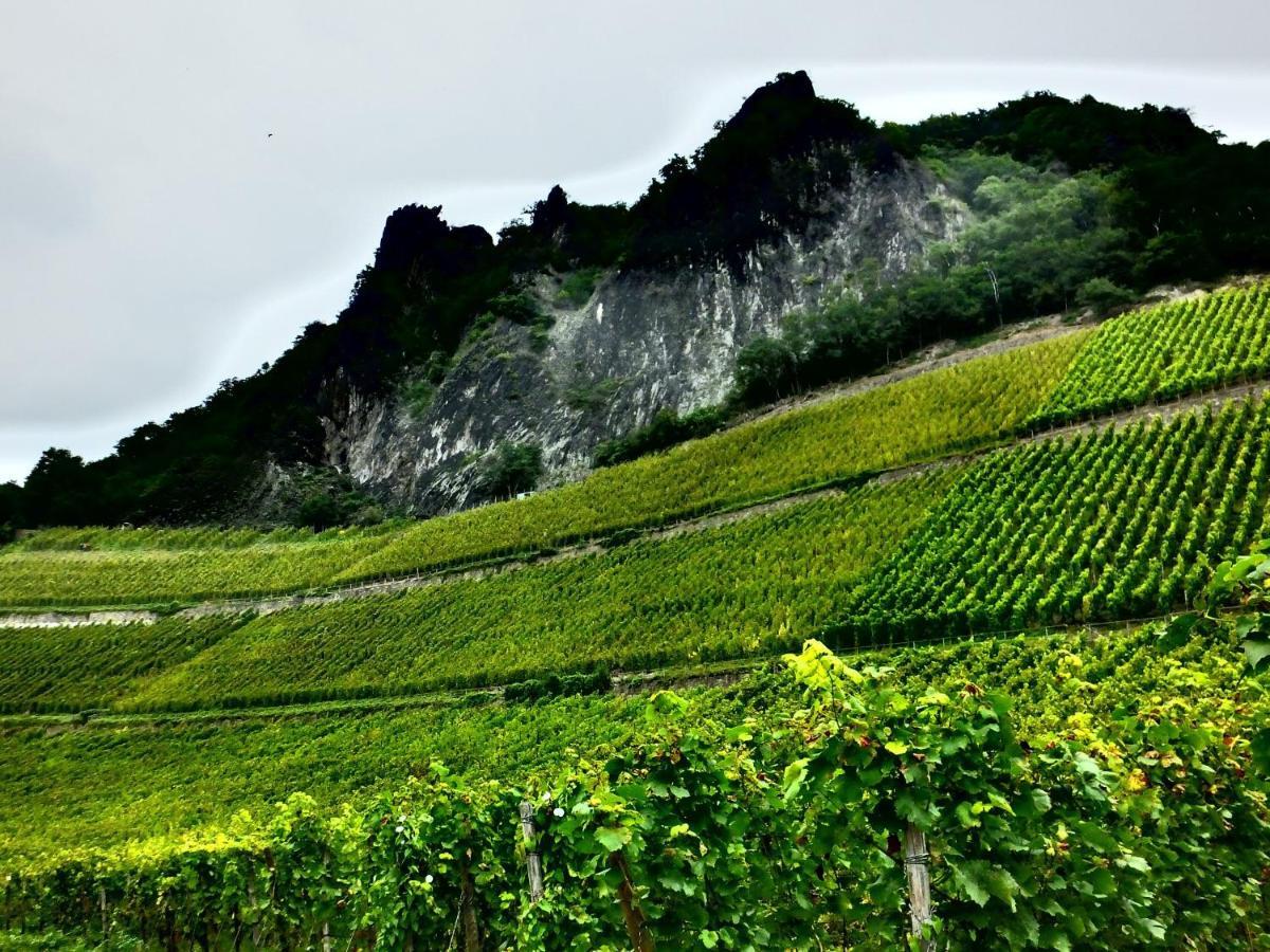 Weingut Und Hotel Haus Am Drachenloch 바트혼네프암라인 외부 사진